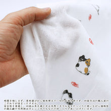 Cargar imagen en el visor de la galería, Face Towel Hagoromo Gauze Cat Blue 32 x 95cm
