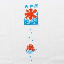 将图片加载到图库查看器，Face Towel Hagoromo Gauze Ice Blue 32�~95cm
