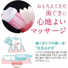 Load image into Gallery viewer, Systema Haguki Plus Toothbrush Wide Regular Soft 1pc
