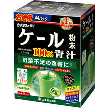 Load image into Gallery viewer, Yamamoto Kampo Kale Powder Stick 3g*44 packs, Moderate Flavor Green Juice Health Maintenance
