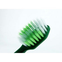 Load image into Gallery viewer, Fresh Leaf Extra Wide Brush Toothbrush Regular Head Regular 1 piece
