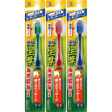 Load image into Gallery viewer, Fresh Leaf Extra Wide Brush Toothbrush Regular Head Regular 1 piece
