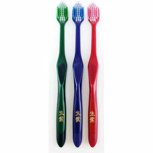 Fresh Leaf Extra Wide Brush Toothbrush Regular Head Regular 1 piece