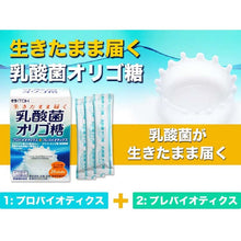 将图片加载到图库查看器，Ito Kampo Pharmaceutical Lactic Acid Bacteria Oligosaccharides (Approx. 10 Day Supply) 2g x 20 packets, Dietary Fiber Digestion Aid
